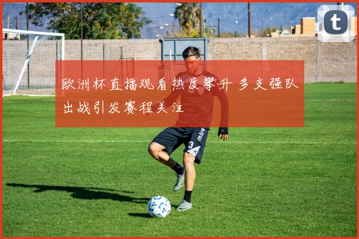欧洲杯直播观看热度攀升 多支强队出战引发赛程关注