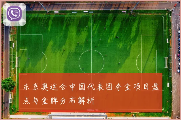 东京奥运会中国代表团夺金项目盘点与金牌分布解析