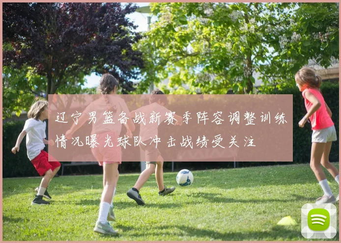辽宁男篮备战新赛季阵容调整训练情况曝光球队冲击战绩受关注